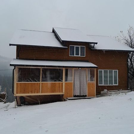 Затишні Карпати)) Apartment Verkhovyna Luaran gambar
